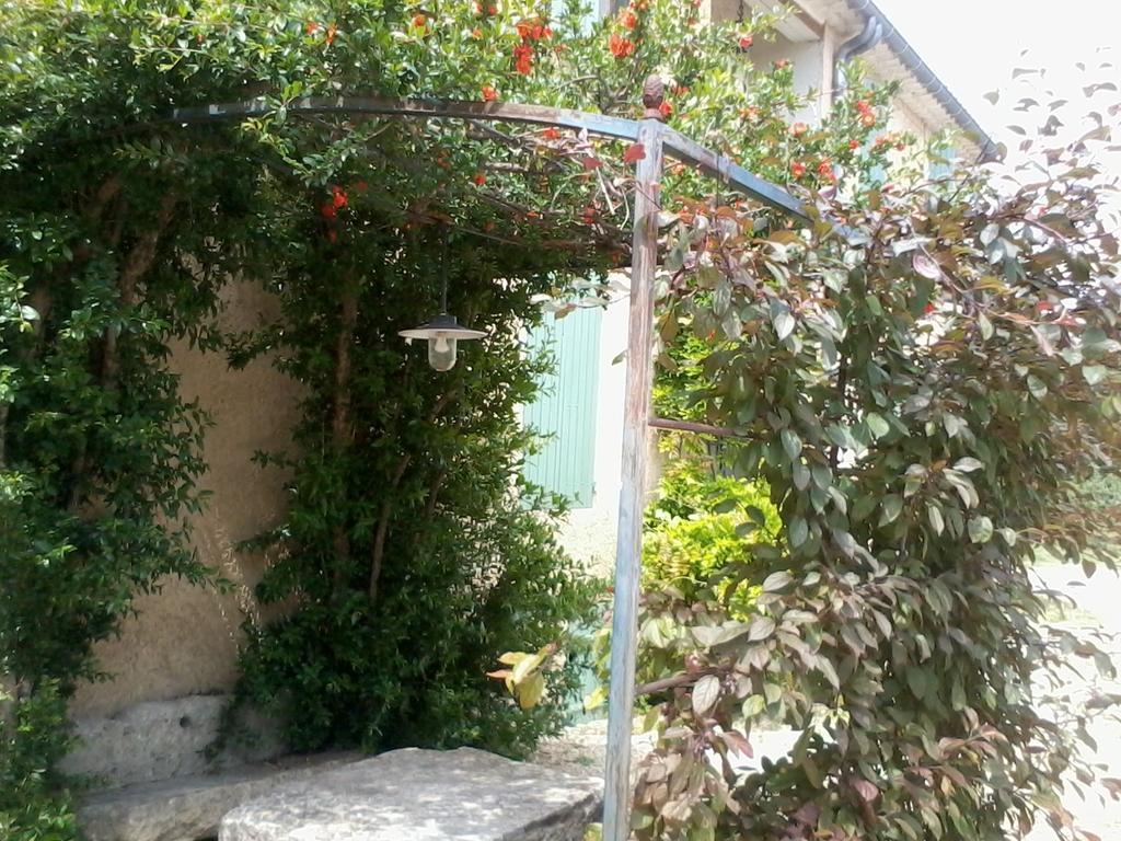 Mas La Vitalis Chambres D'Hotes LʼIsle-sur-la-Sorgue 외부 사진