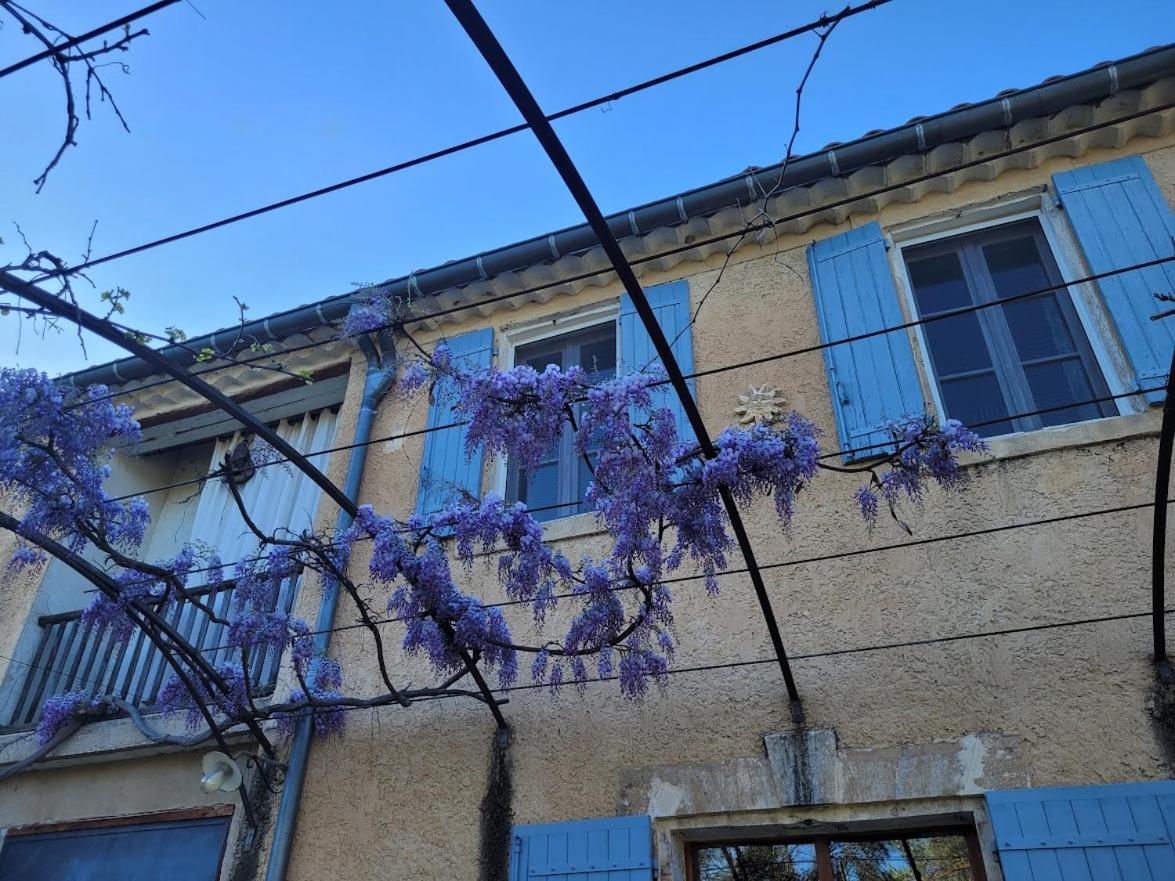 Mas La Vitalis Chambres D'Hotes LʼIsle-sur-la-Sorgue 외부 사진